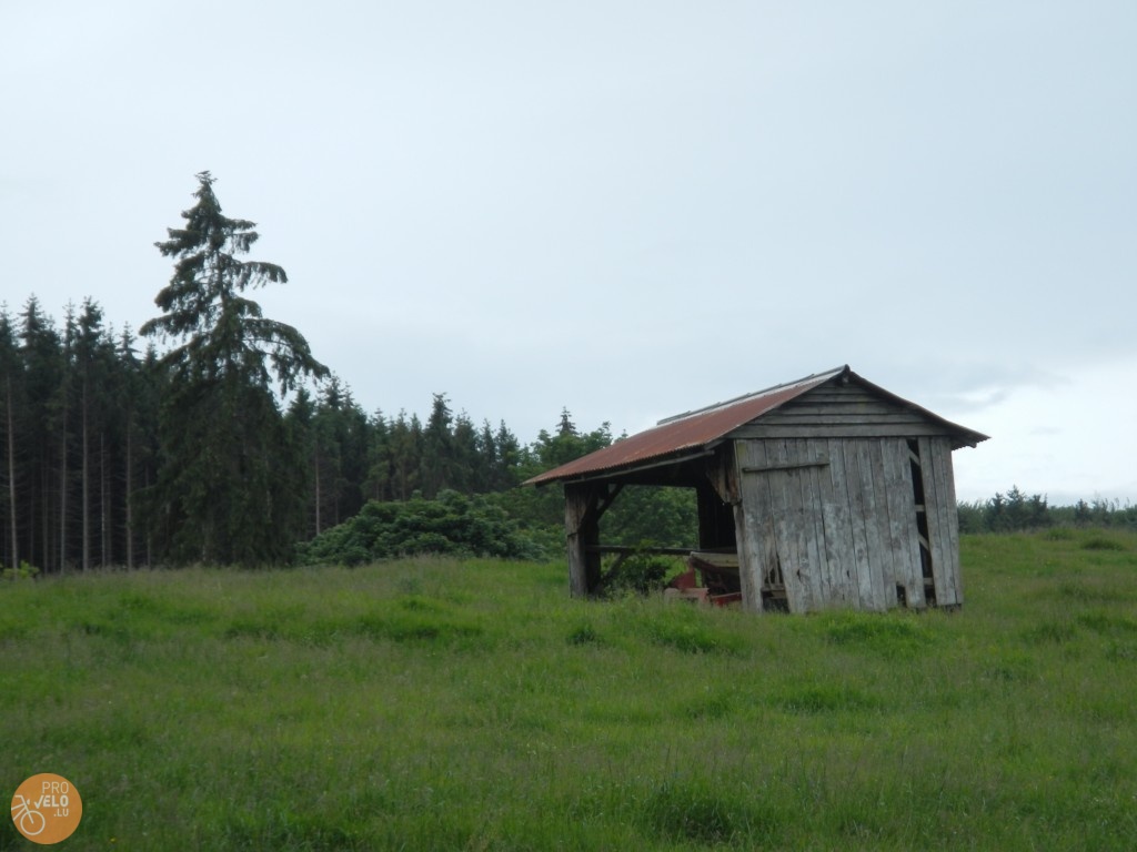 DSCN0263.JPG